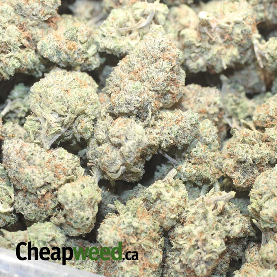 HAW HAZE 2 I Hawaiian Haze