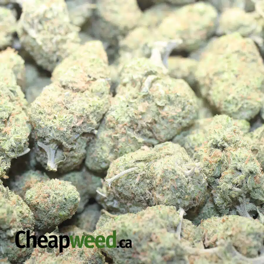 ICE CREAM SMALLS 1 I $ 63 Oz - Ice Cream