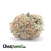 $ 63 Oz - Italian Ice