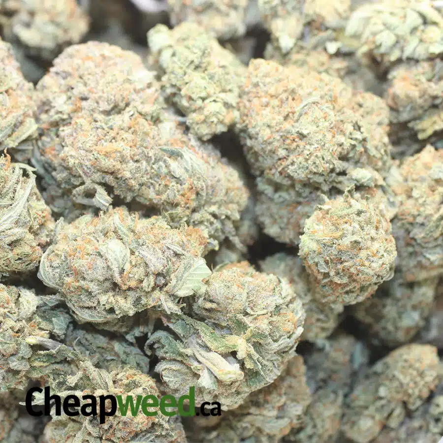 JF OG AAA 1 I Jetfuel OG AAA