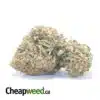 Jetfuel OG