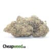 Purple Mendo Breath