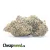 Purple Mendo Breath