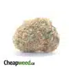 $ 72 Oz - Blackberry