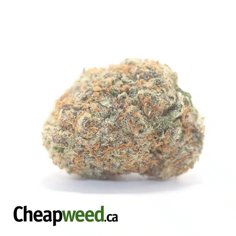 $ 72 Oz - Blackberry