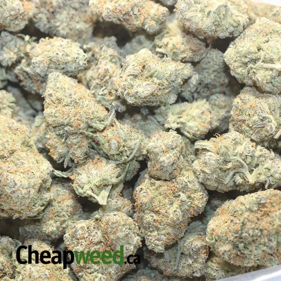 PLAT KB 1 I Platinum Kush Breath