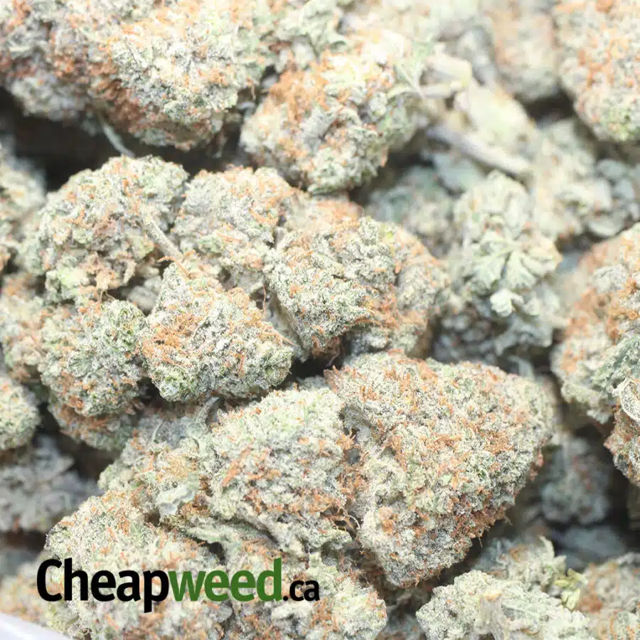 SB CREAM 1 I Strawberry Cream