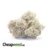 Super Silver Haze