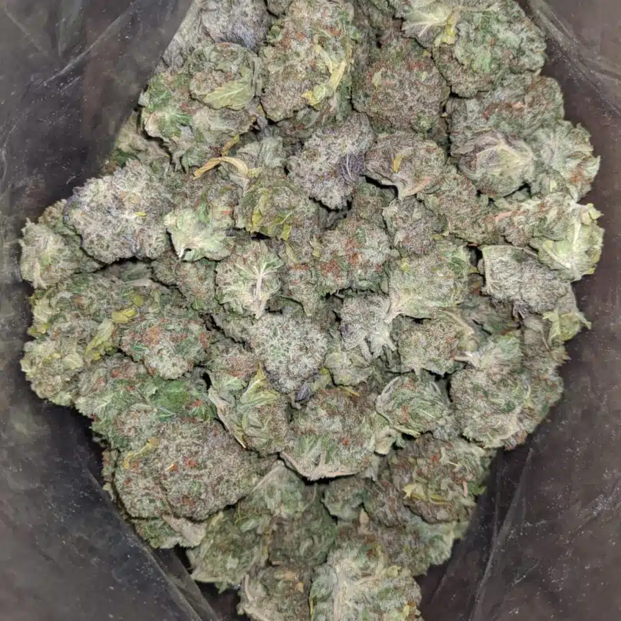 SWEET AMNESIA HAZE 1 I Sweet Amnesia Haze