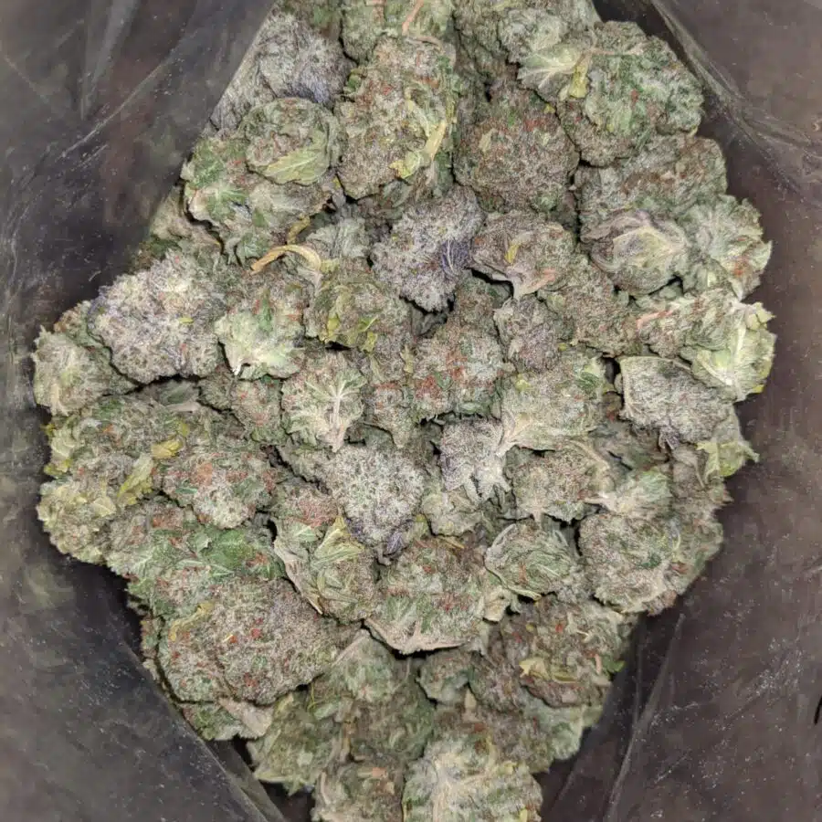 Sweet Amnesia Haze