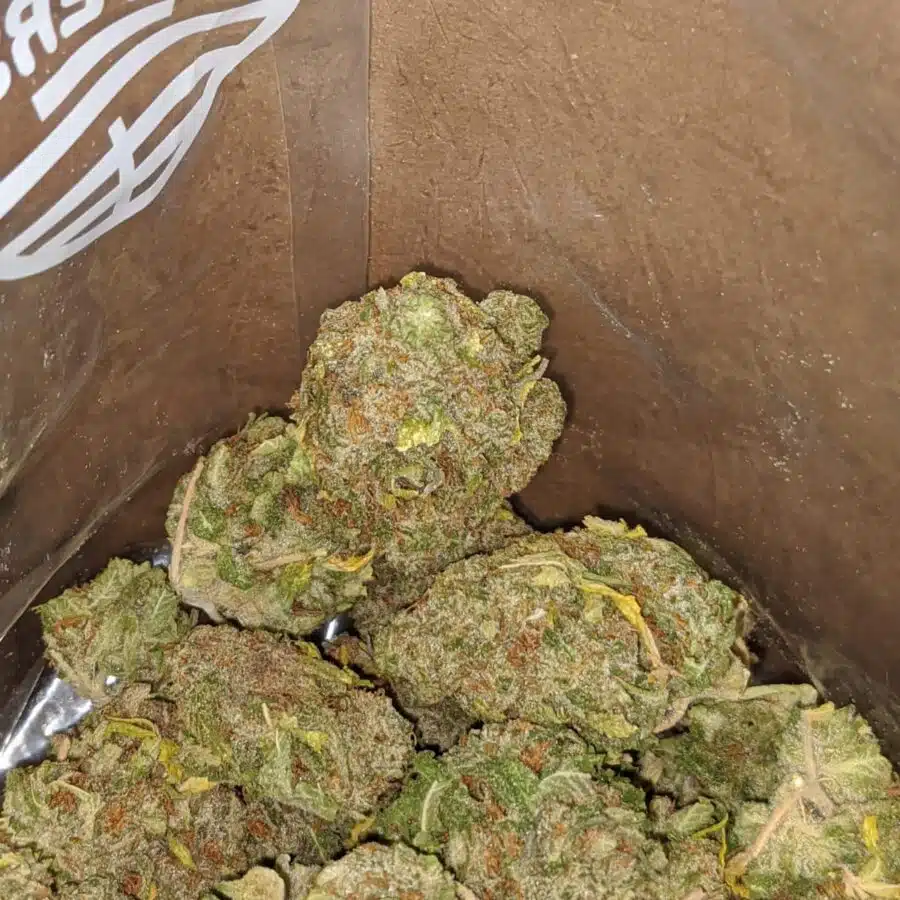 SWEET AMNESIA HAZE 3 I Sweet Amnesia Haze