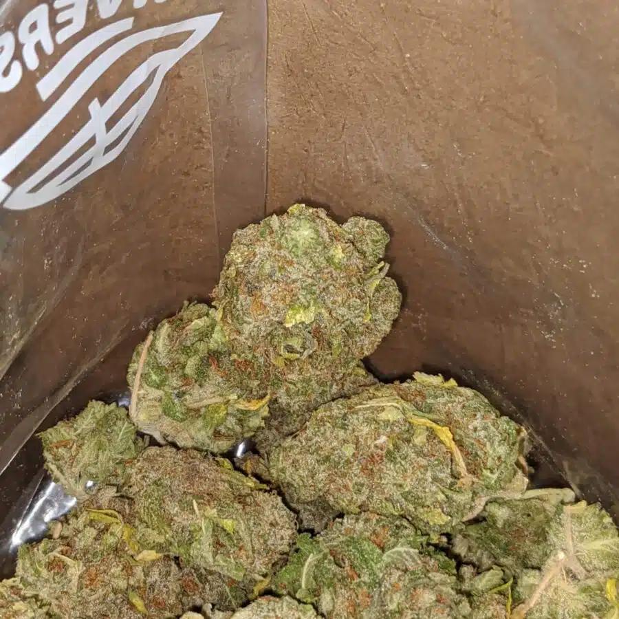 Alternative view of Sweet Amnesia Haze