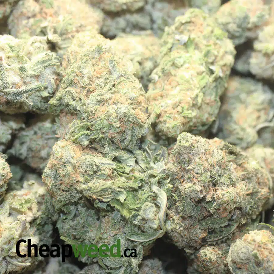 SWT DREAMS 1 I $69 Oz - Sweet Dream