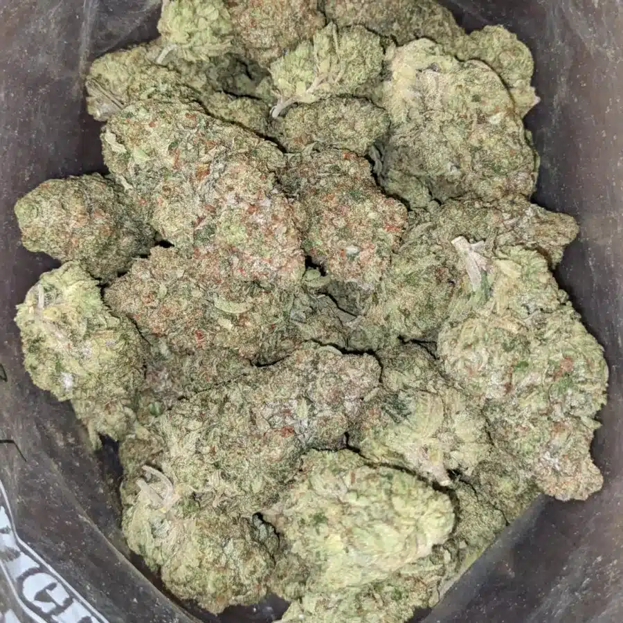 Sour angel 1 I Sour Angel