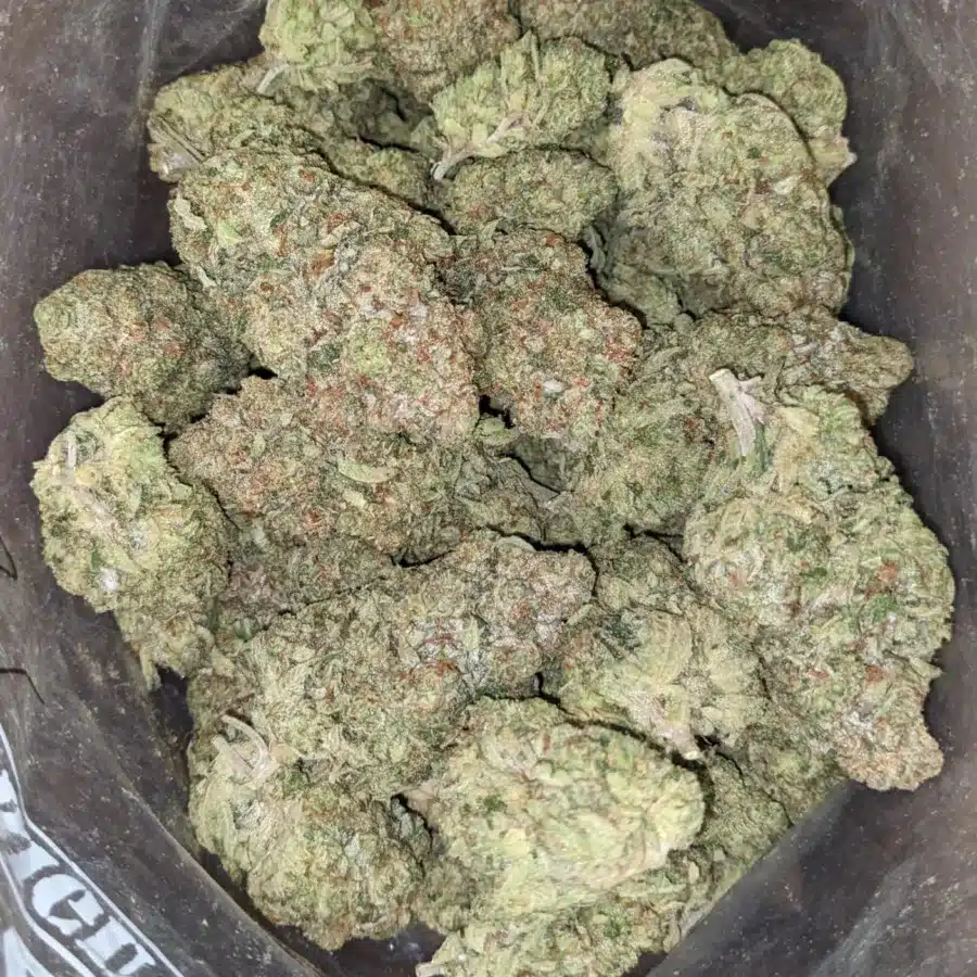 Sour angel 2 I Sour Angel