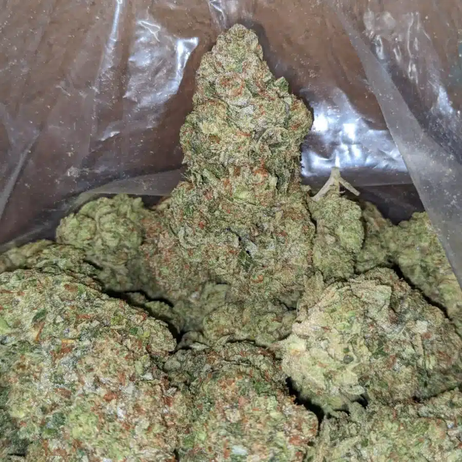 Sour angel 3 I Sour Angel