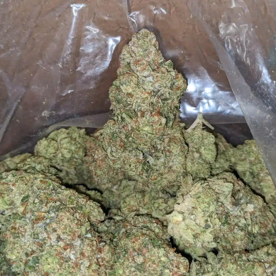 Sour angel 4 I Sour Angel