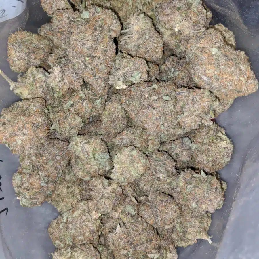 WhatsApp Image 2023 12 12 at 9.48.24 AM 1 I Purple Mendo Breath