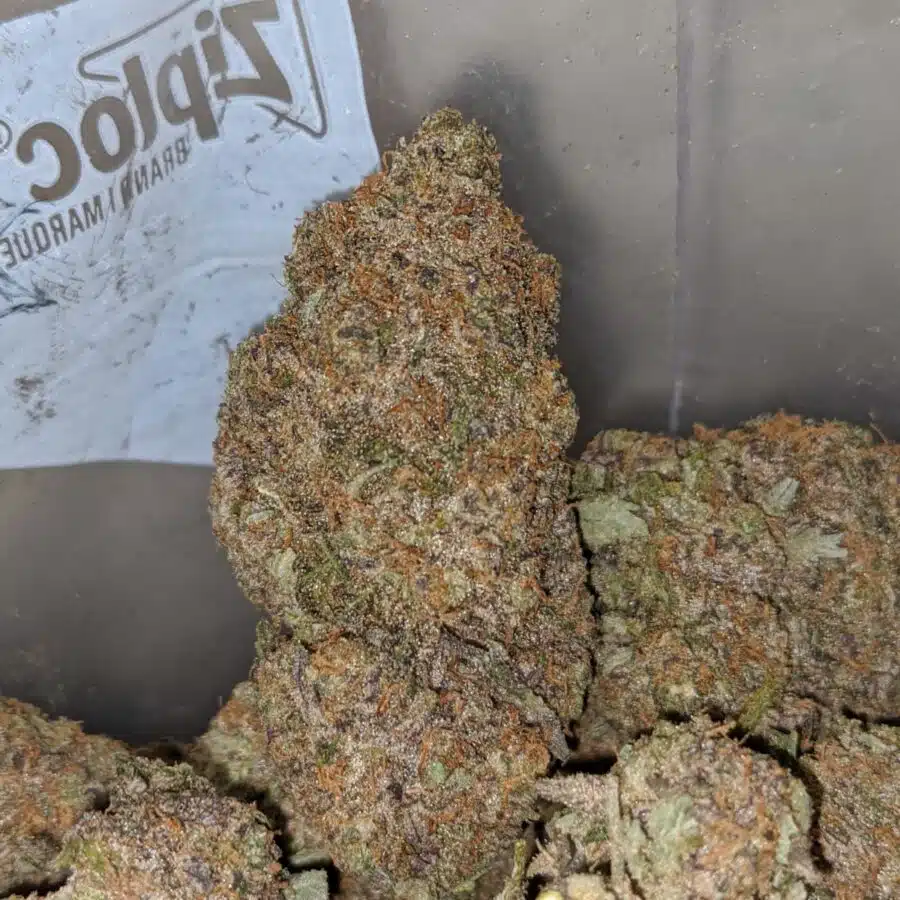 WhatsApp Image 2023 12 12 at 9.48.24 AM 2 I Purple Mendo Breath