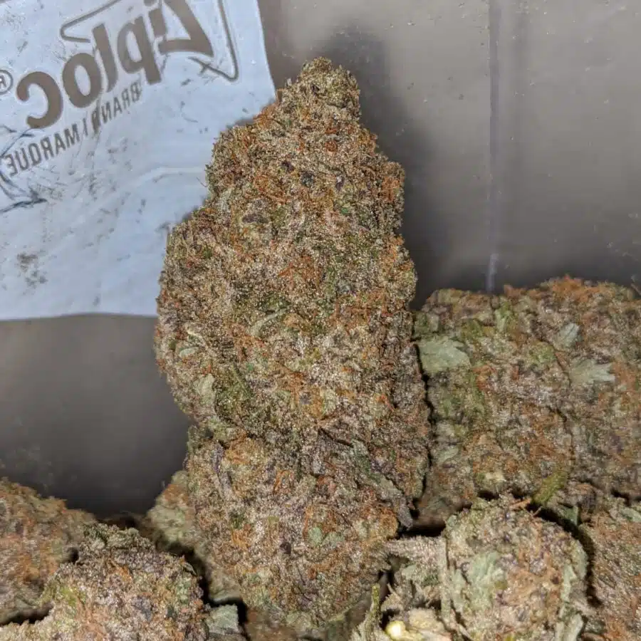 WhatsApp Image 2023 12 12 at 9.48.25 AM I Purple Mendo Breath