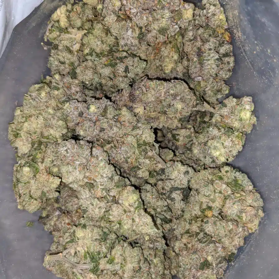 cali cookies 1 I Cali Cookies