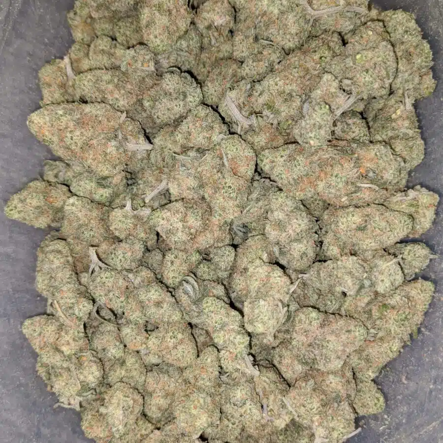 ice cream smalls 1 I $ 63 Oz - Ice Cream