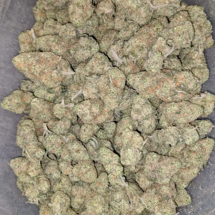 ice cream smalls 2 I $ 63 Oz - Ice Cream