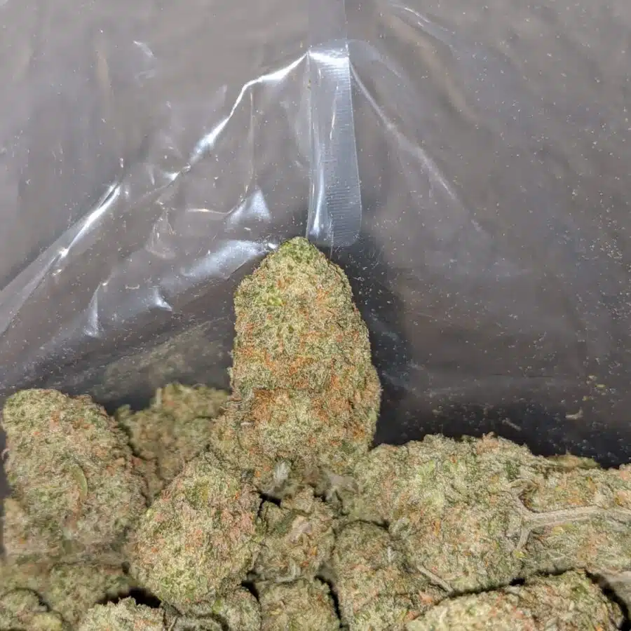 ice cream smalls 3 I $ 63 Oz - Ice Cream
