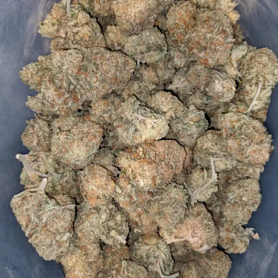 lemon fuel 1 I Lemon Fuel