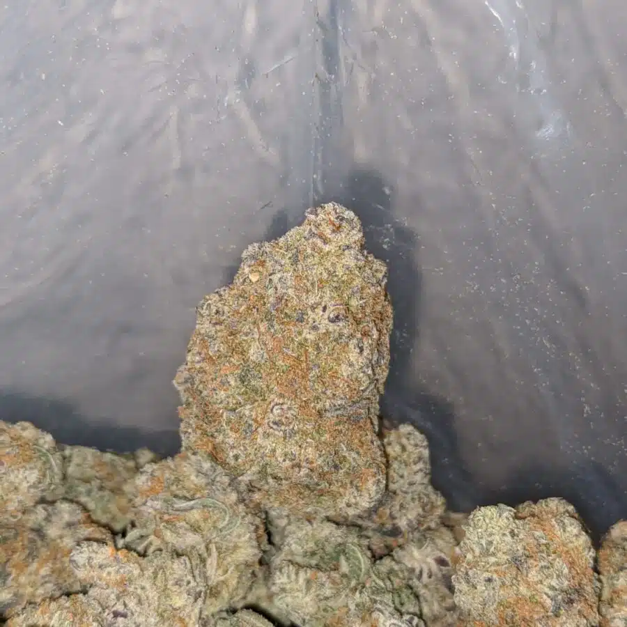 platinum kush breath 4 I Platinum Kush Breath