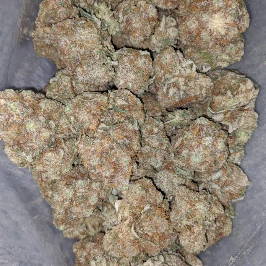silver surfer 1 I $ 66 Oz - Silver Surfer