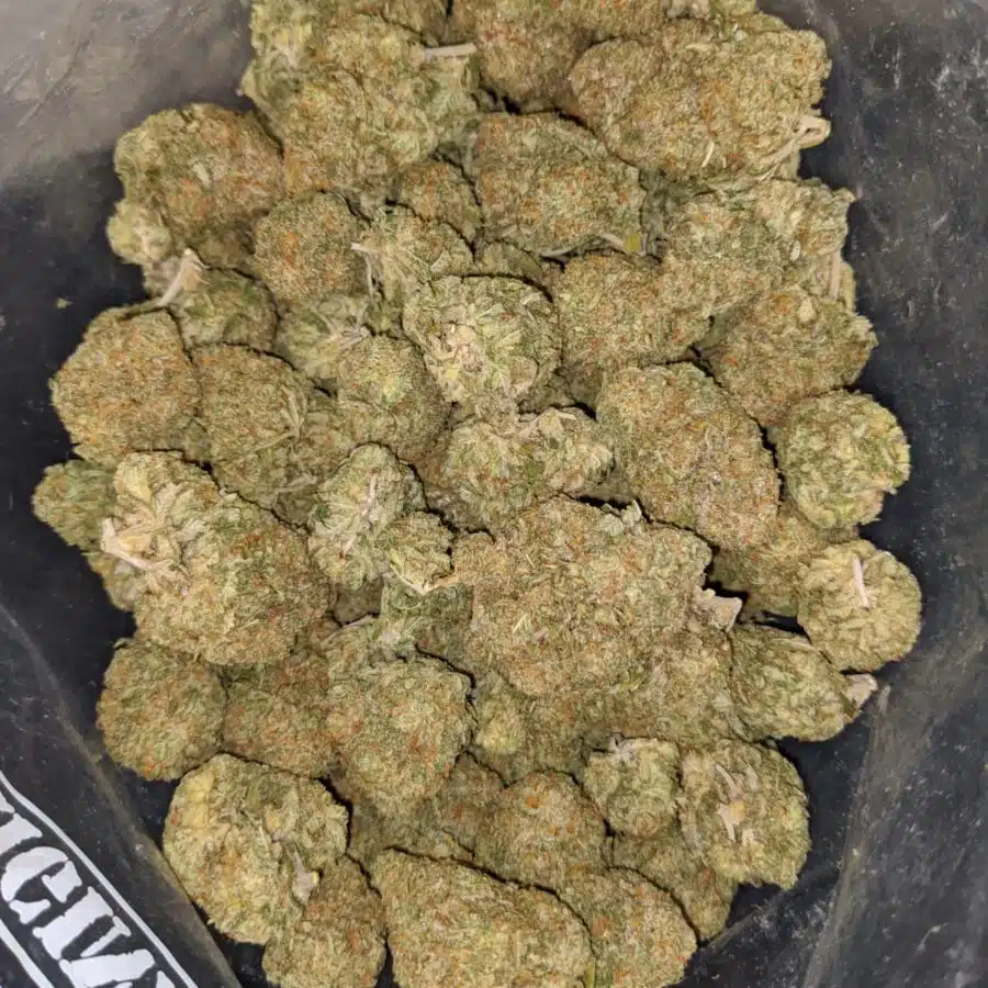 sticky icky 1 I $ 66 Oz - Sticky Icky