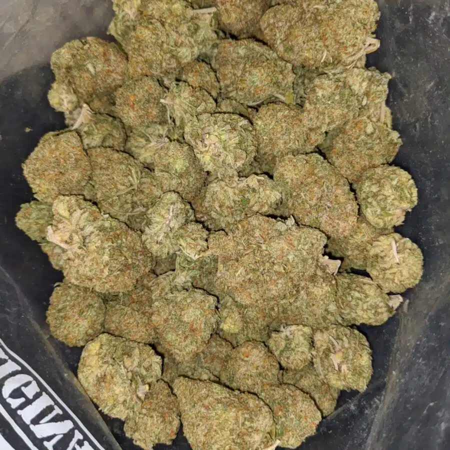 sticky icky 2 I $ 66 Oz - Sticky Icky
