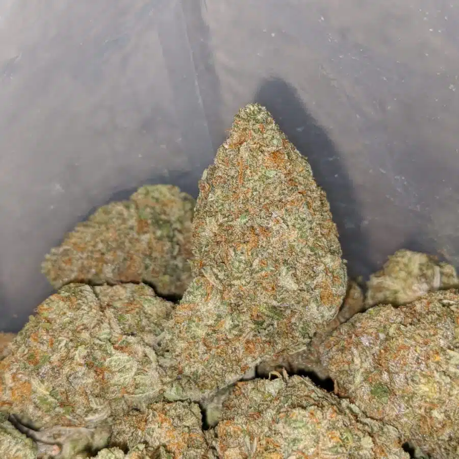 sticky icky 4 I $ 66 Oz - Sticky Icky