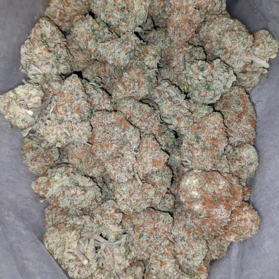 strawberry cream 2 I Strawberry Cream