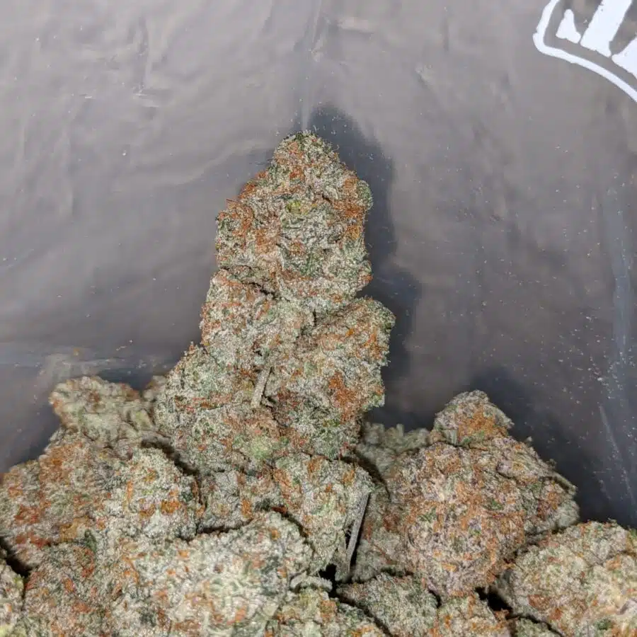 strawberry cream 3 I Strawberry Cream