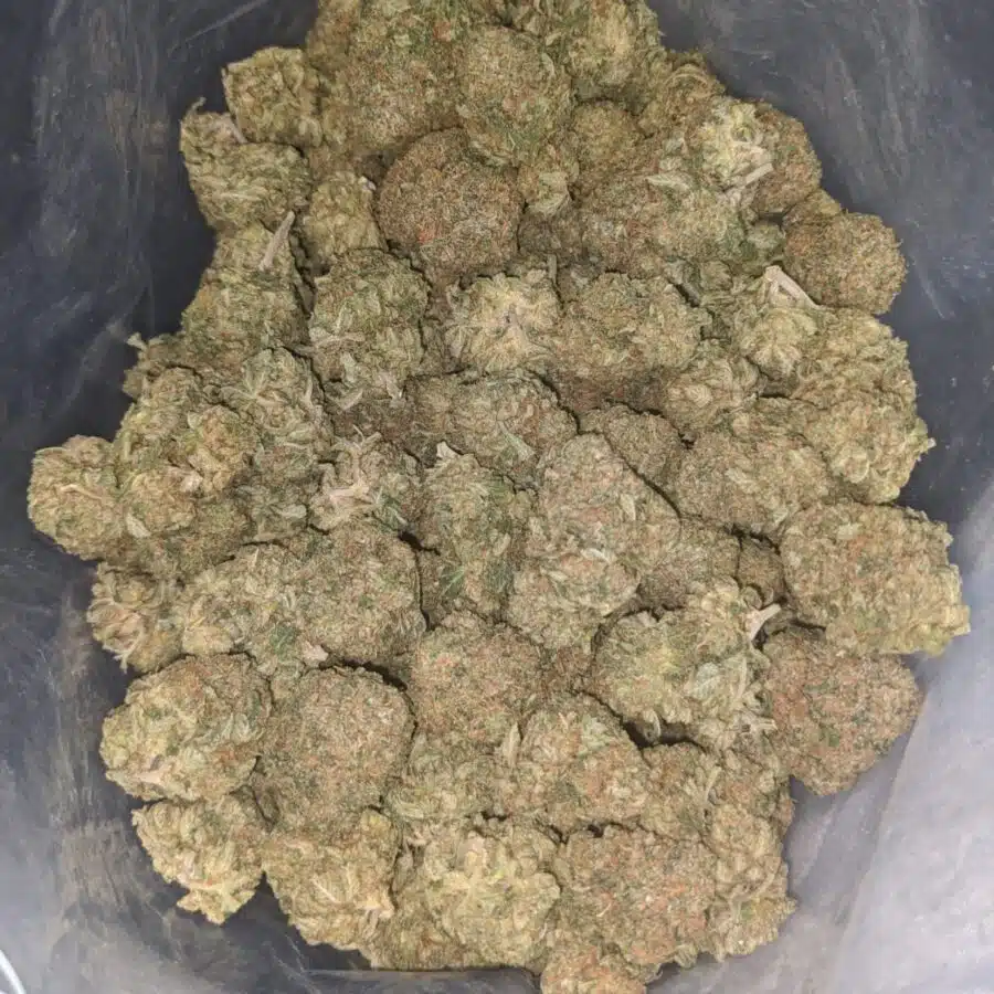 trainwreck 4 I $ 86 Oz - Trainwreck