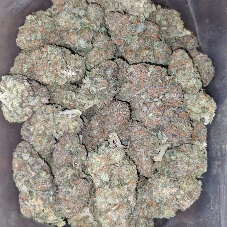 tropical runts 1 I $ 56 Oz - Tropical Runtz