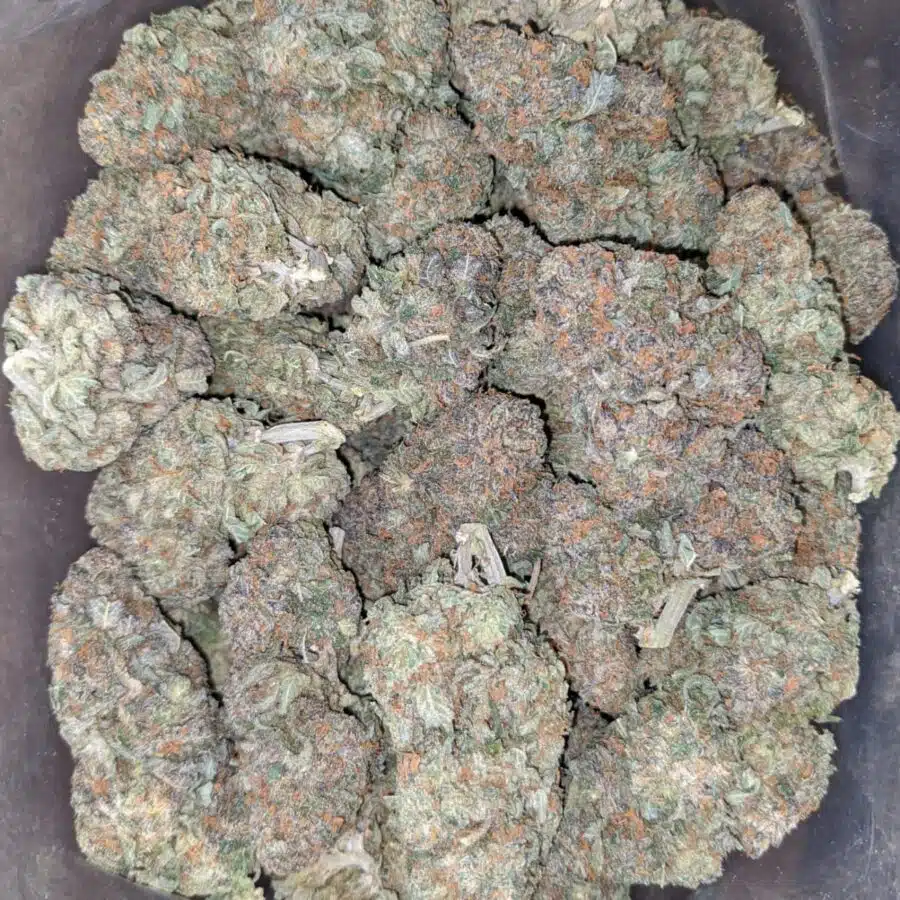 tropical runts 2 I $ 56 Oz - Tropical Runtz