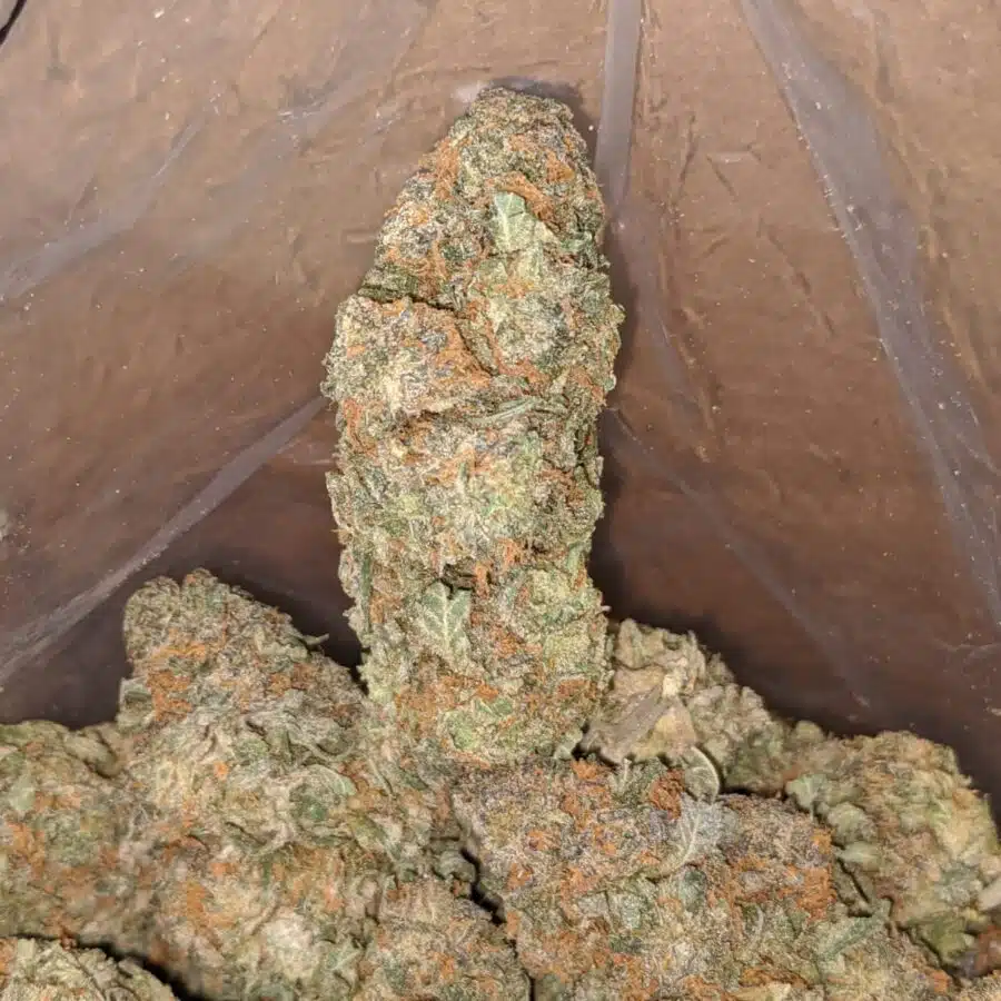 tropical runts 3 I $ 56 Oz - Tropical Runtz