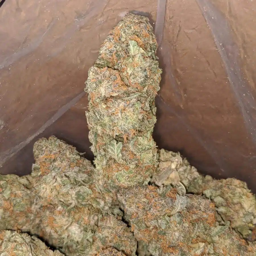 tropical runts 4 I $ 56 Oz - Tropical Runtz