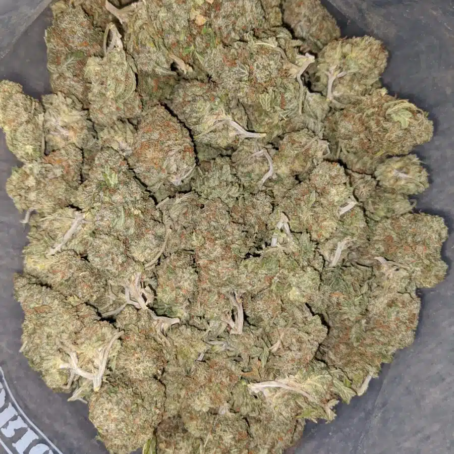 zkittles runtz deal of the day 1 I Zkittlez Runtz - *Deal Of The Day*
