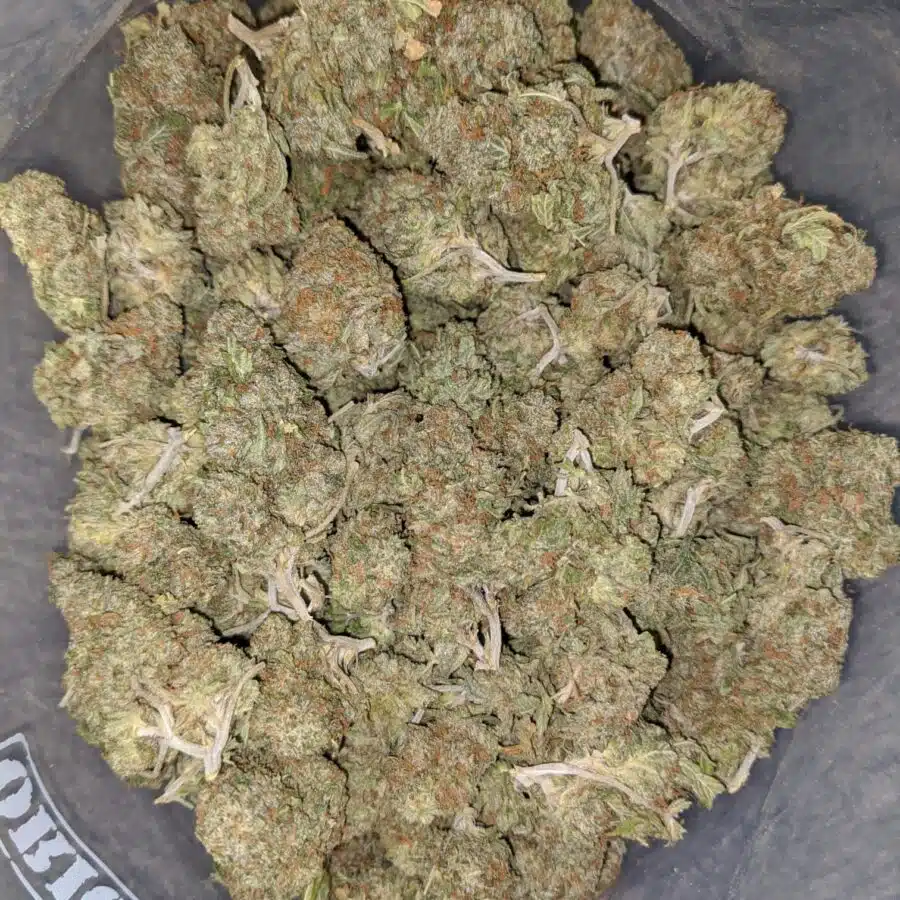 zkittles runtz deal of the day 2 I Zkittlez Runtz - *Deal Of The Day*