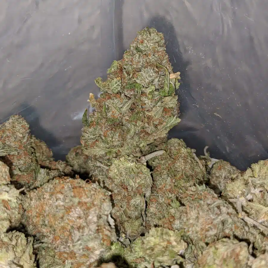 zkittles runtz deal of the day 3 I Zkittlez Runtz - *Deal Of The Day*