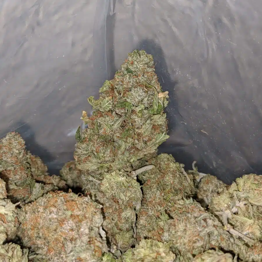 zkittles runtz deal of the day 4 I Zkittlez Runtz - *Deal Of The Day*