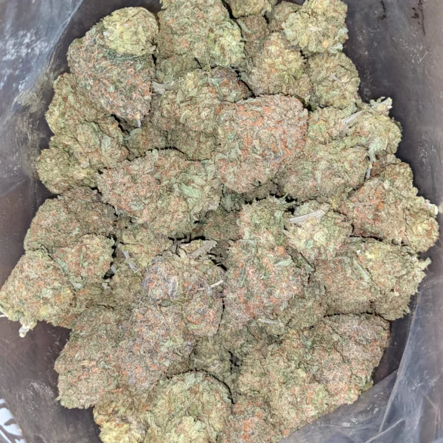 Blood Orange