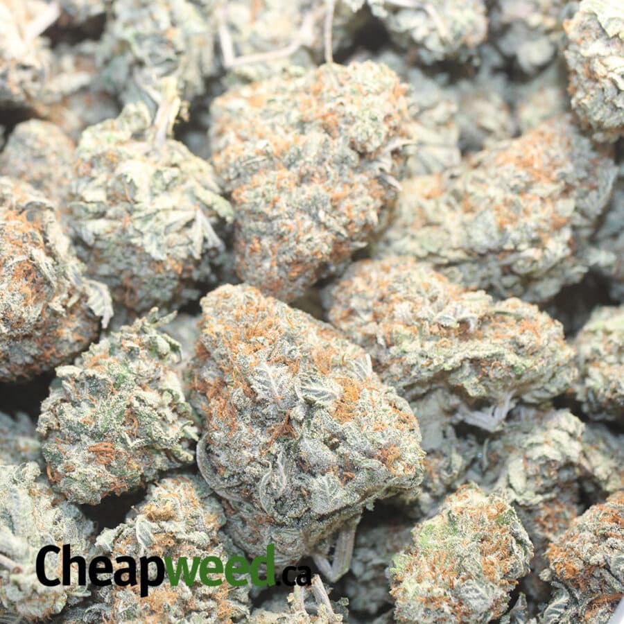 C BNREATH 1 I Cookie Breath