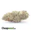 Cake Breath
