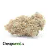 Chocolate Diesel