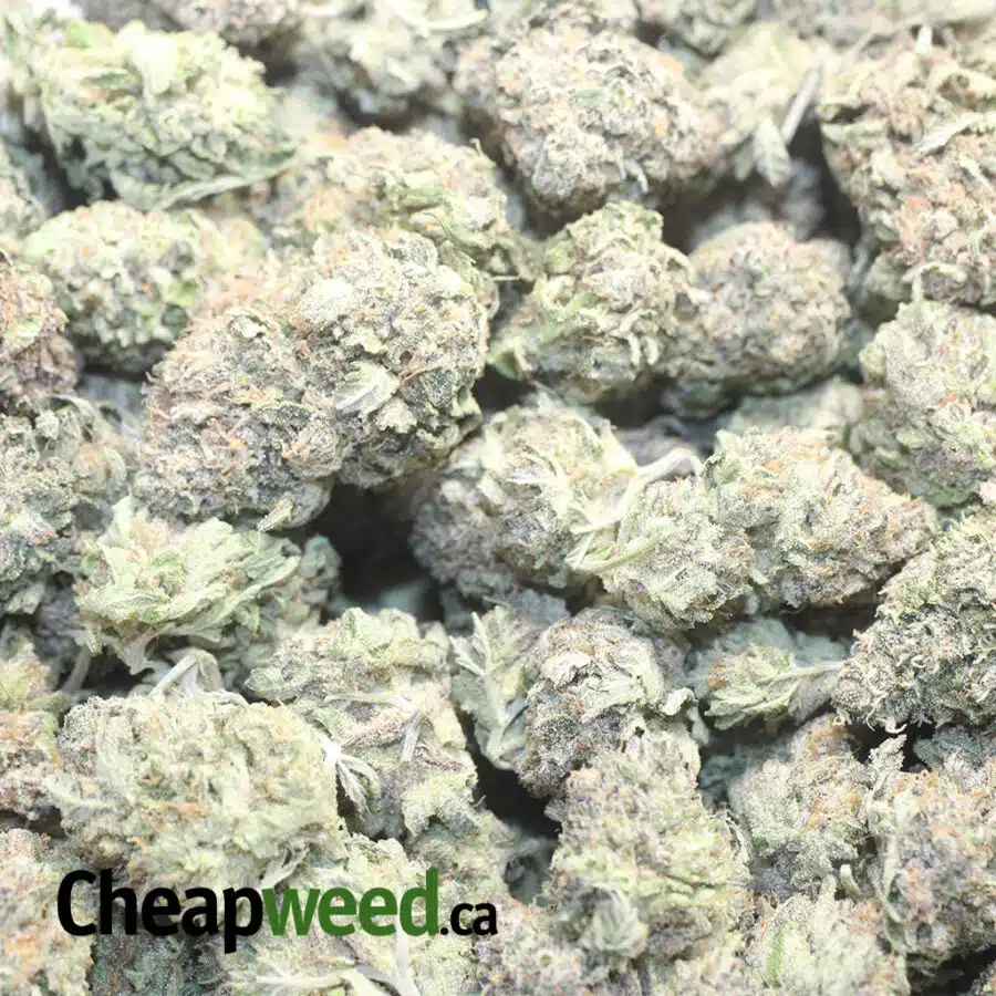 CLEM 1 I $ 60 Oz - Clementine